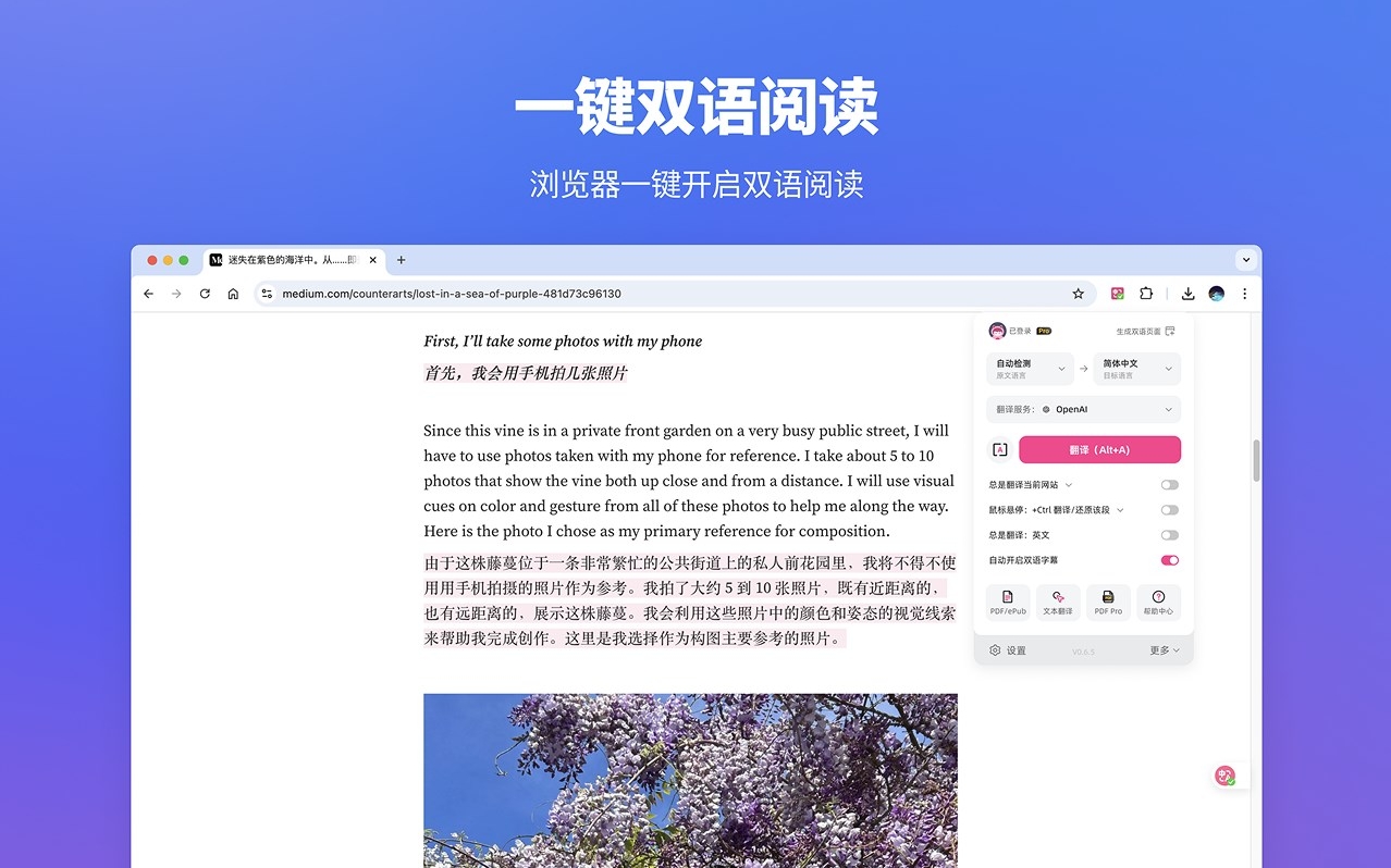 沉浸式翻译 - 软件截图